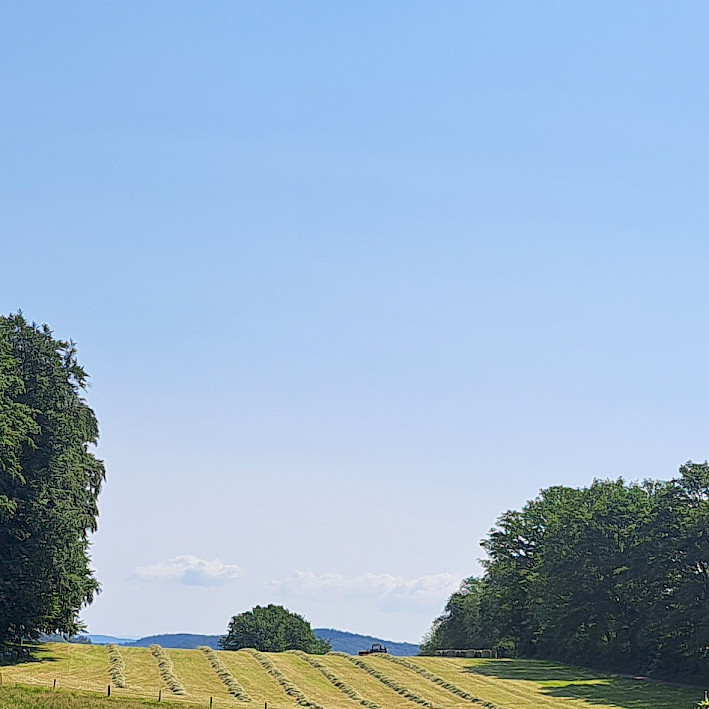 Behandlung